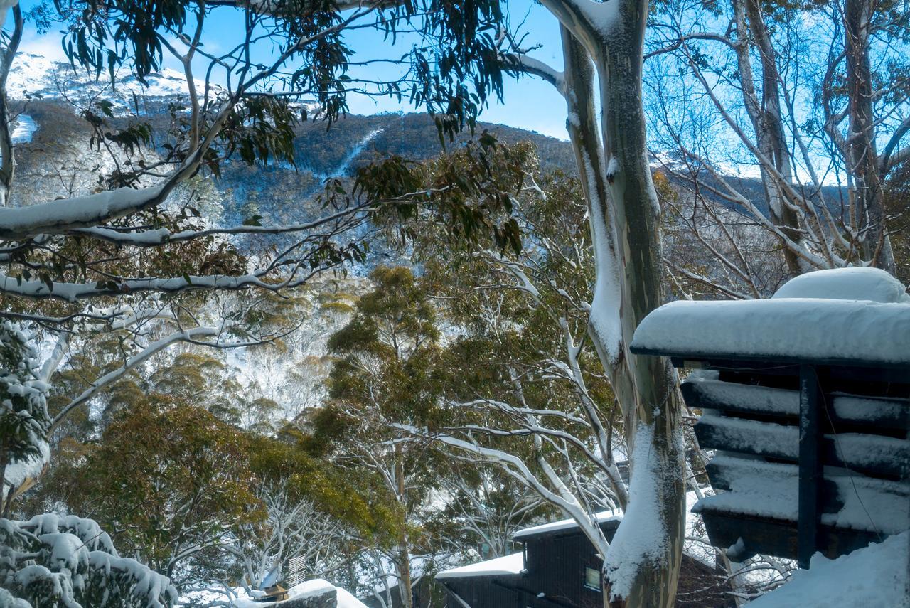 Hotel Pure Chalet Thredbo Zewnętrze zdjęcie